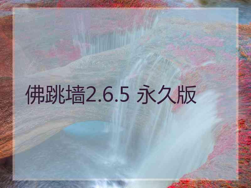 佛跳墙2.6.5 永久版