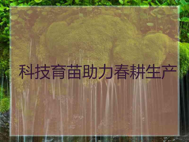 科技育苗助力春耕生产