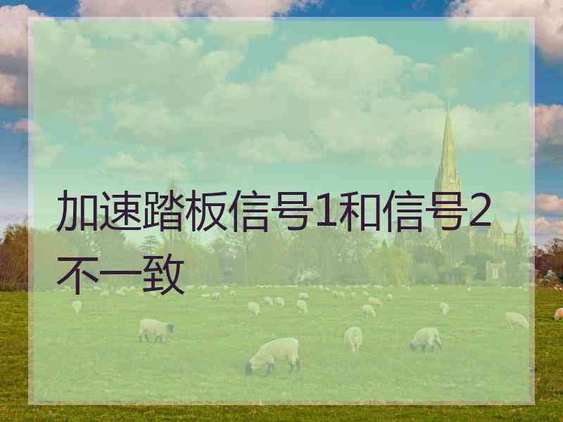 加速踏板信号1和信号2不一致