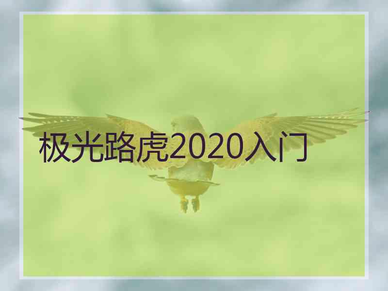 极光路虎2020入门