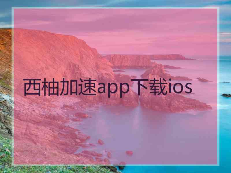 西柚加速app下载ios