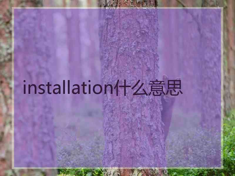 installation什么意思