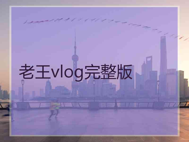 老王vlog完整版