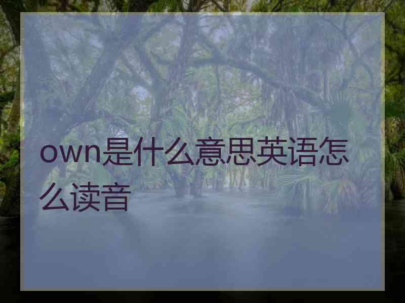 own是什么意思英语怎么读音