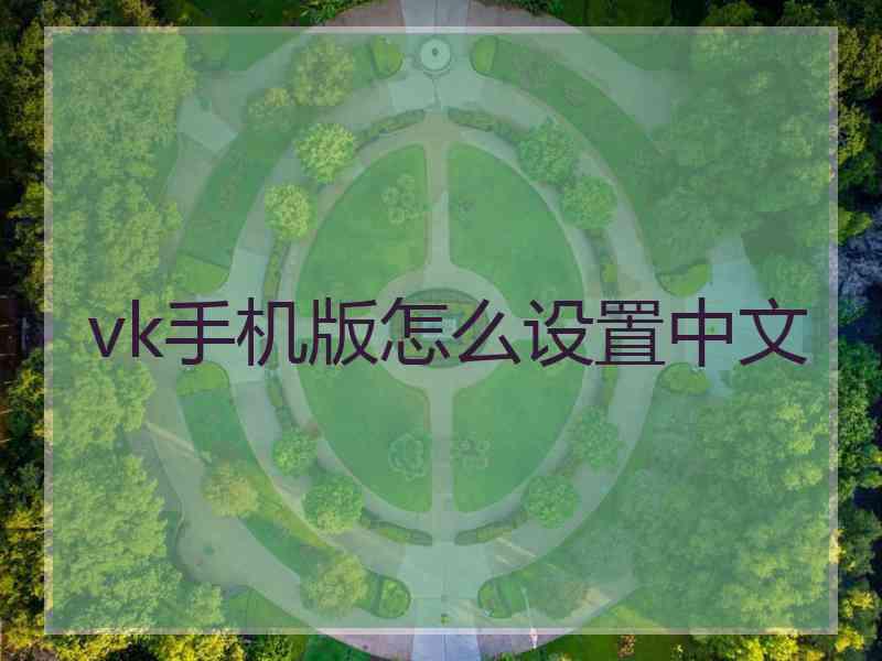 vk手机版怎么设置中文