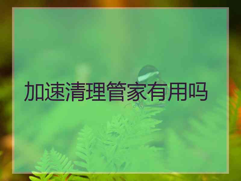 加速清理管家有用吗