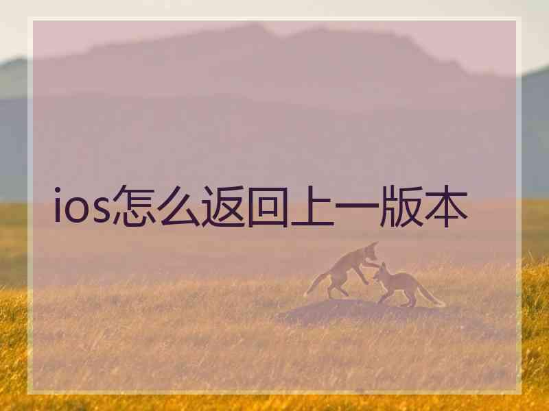 ios怎么返回上一版本