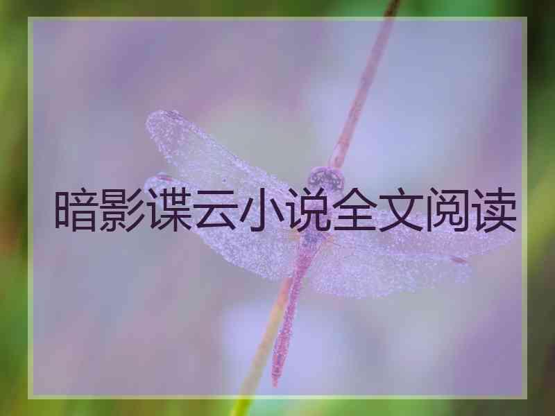 暗影谍云小说全文阅读