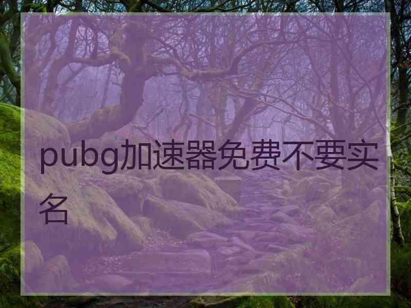 pubg加速器免费不要实名