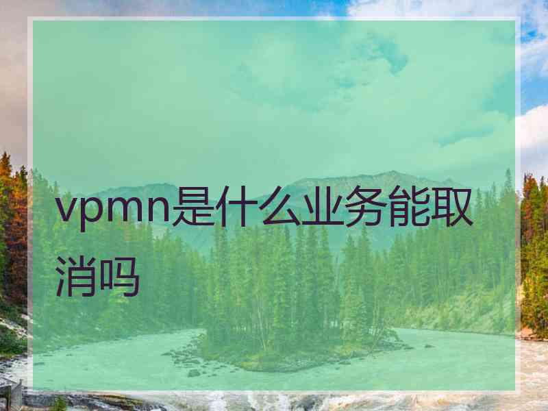 vpmn是什么业务能取消吗