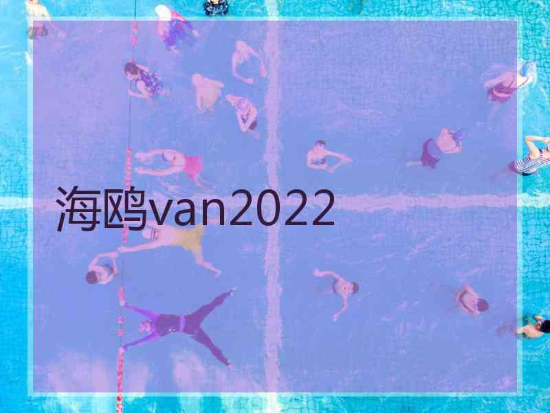 海鸥van2022