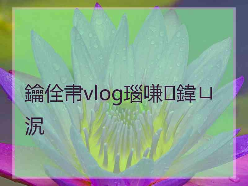 鑰佺帇vlog瑙嗛鍏ㄩ泦