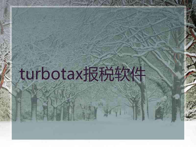 turbotax报税软件