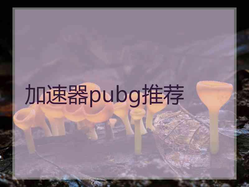 加速器pubg推荐