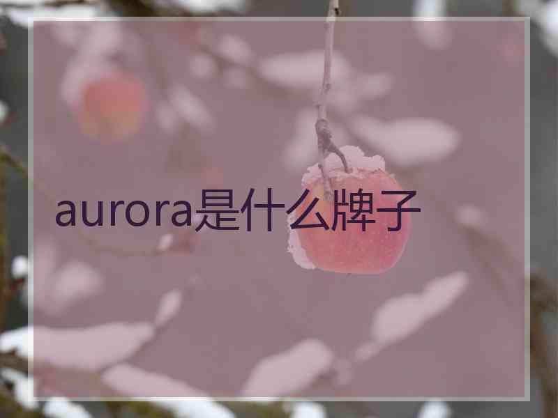 aurora是什么牌子