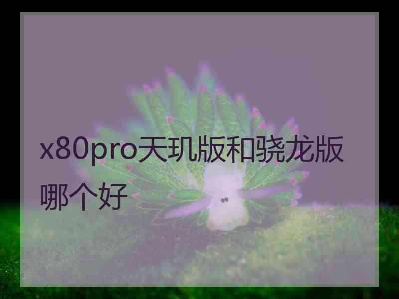 x80pro天玑版和骁龙版哪个好