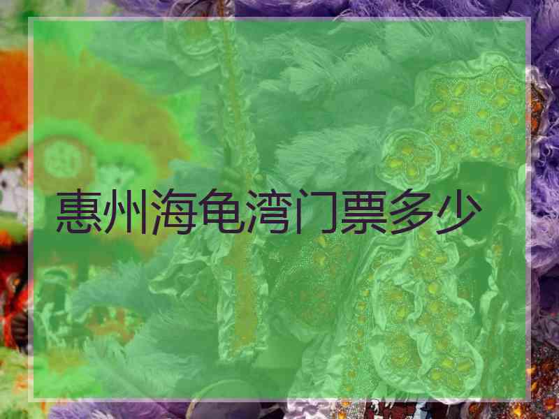 惠州海龟湾门票多少