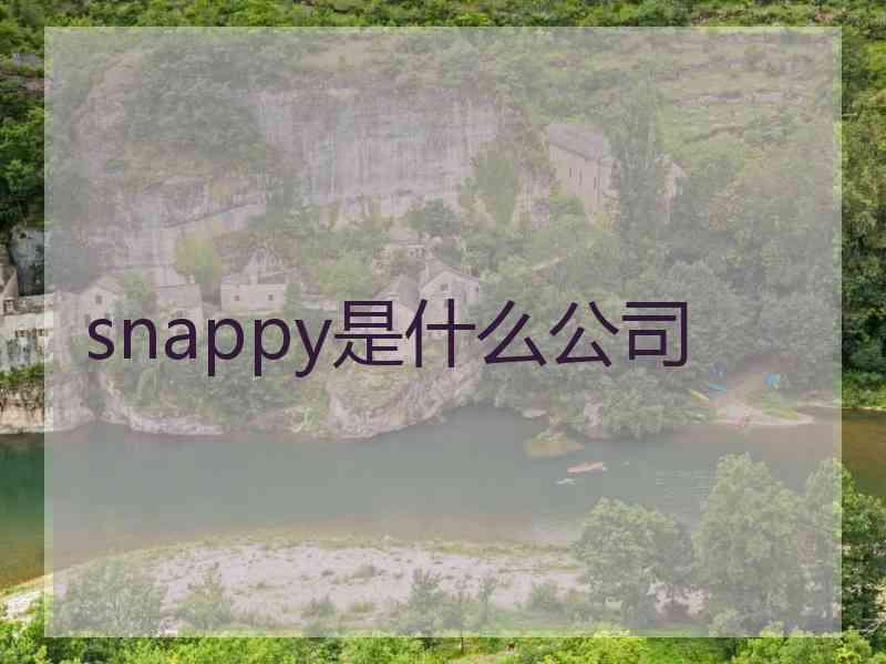 snappy是什么公司