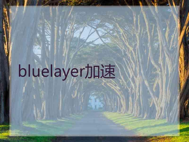 bluelayer加速