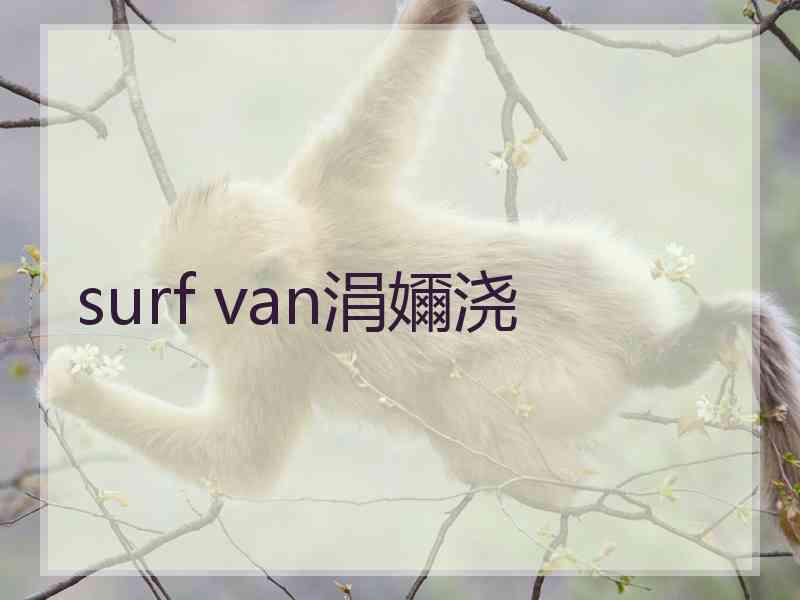 surf van涓嬭浇