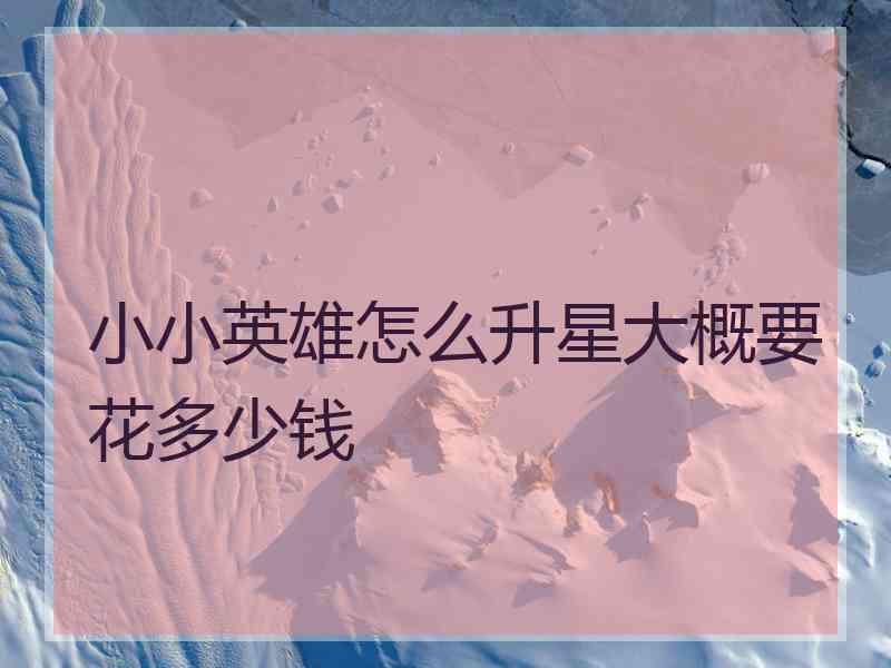 小小英雄怎么升星大概要花多少钱