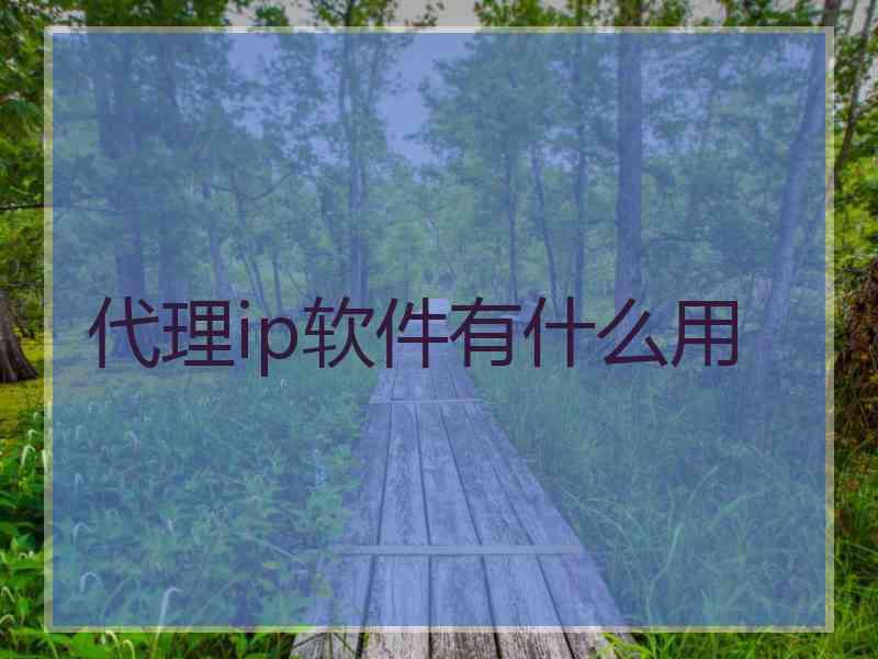 代理ip软件有什么用