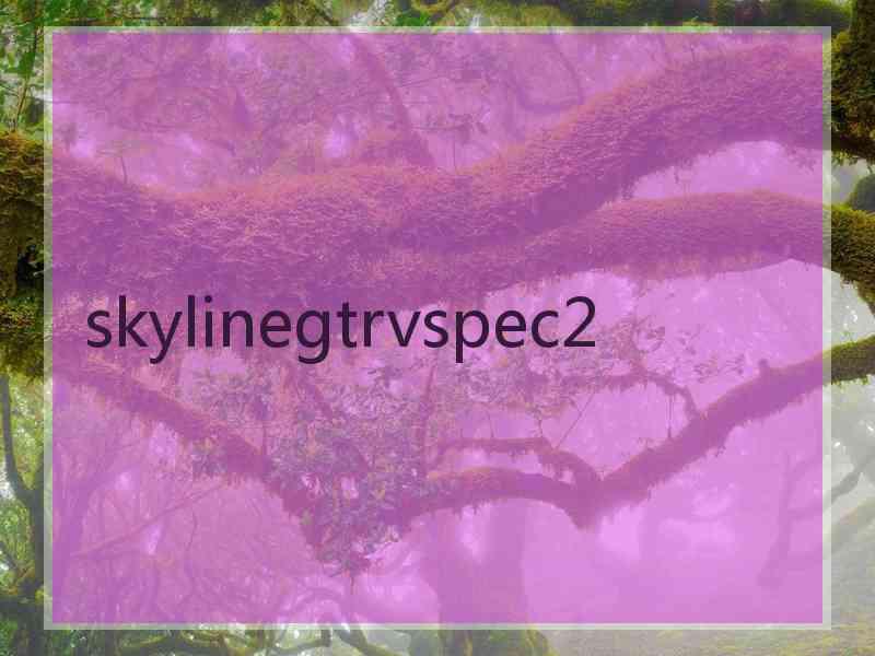 skylinegtrvspec2