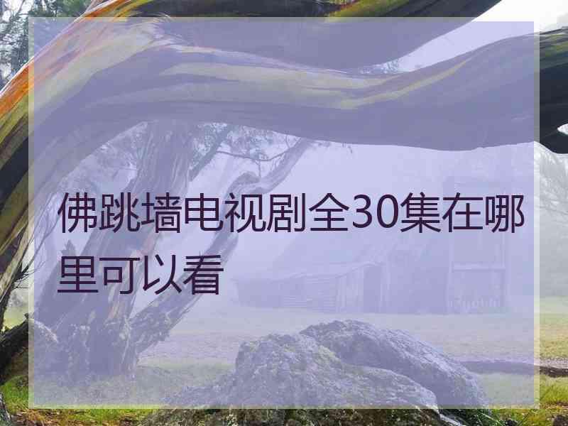 佛跳墙电视剧全30集在哪里可以看