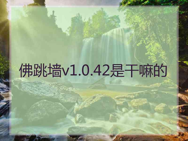 佛跳墙v1.0.42是干嘛的