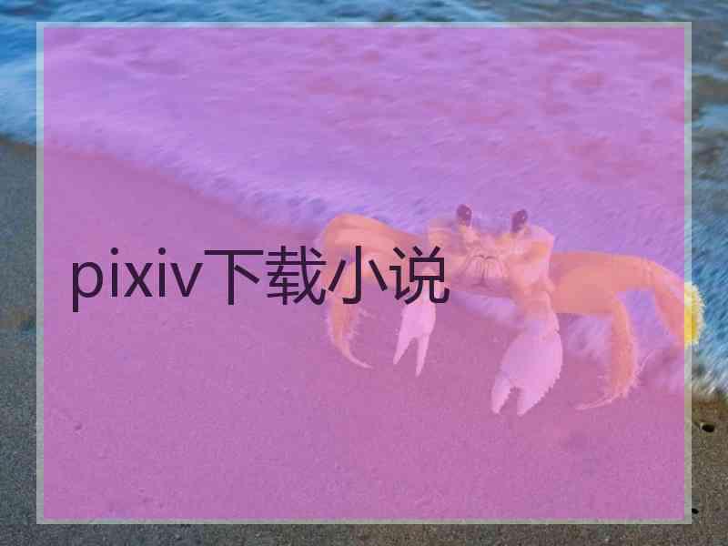 pixiv下载小说