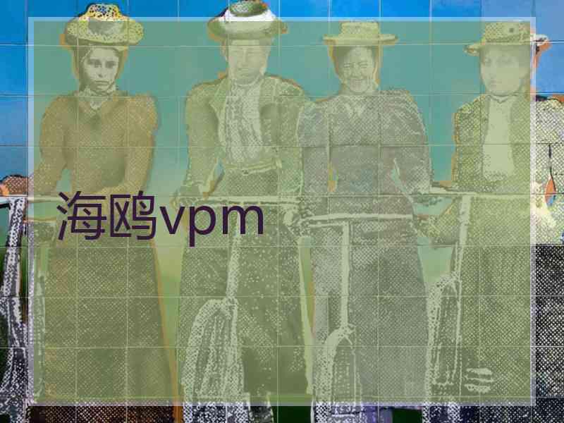 海鸥vpm