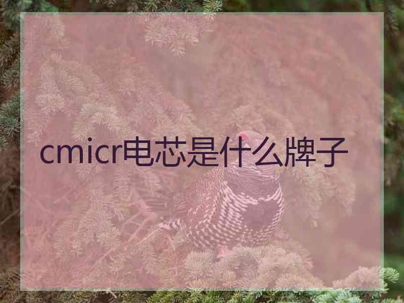 cmicr电芯是什么牌子