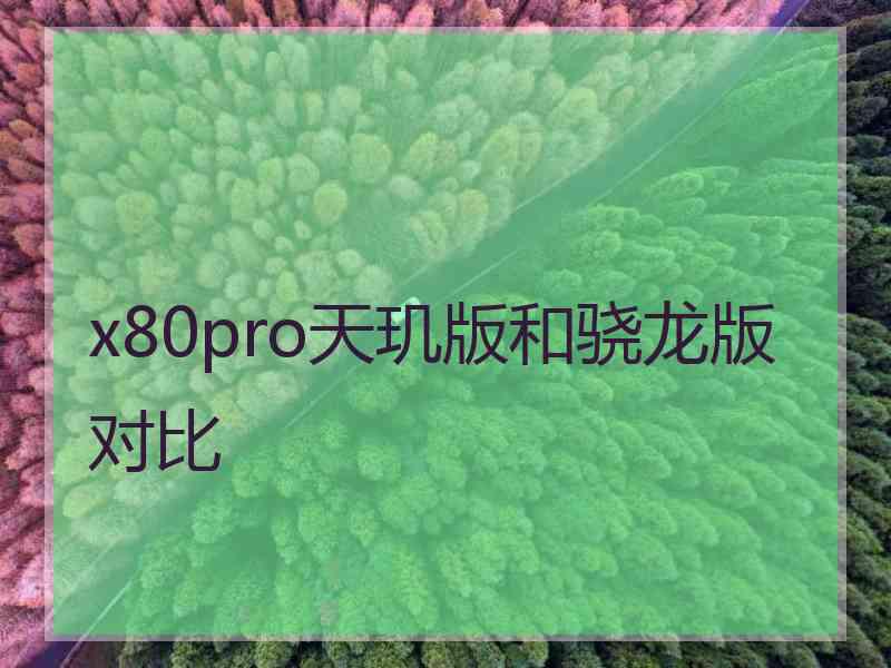 x80pro天玑版和骁龙版对比