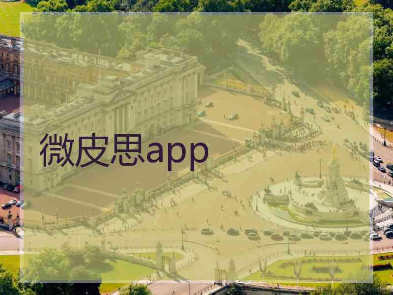 微皮思app