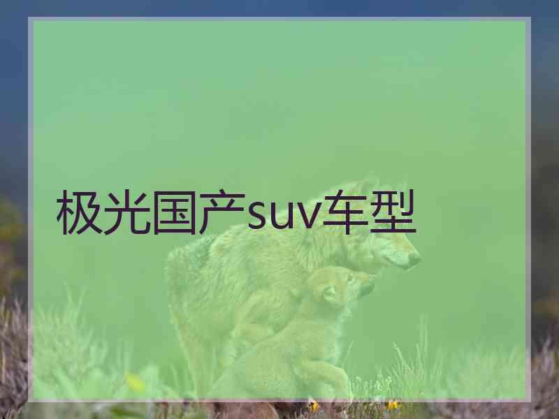 极光国产suv车型