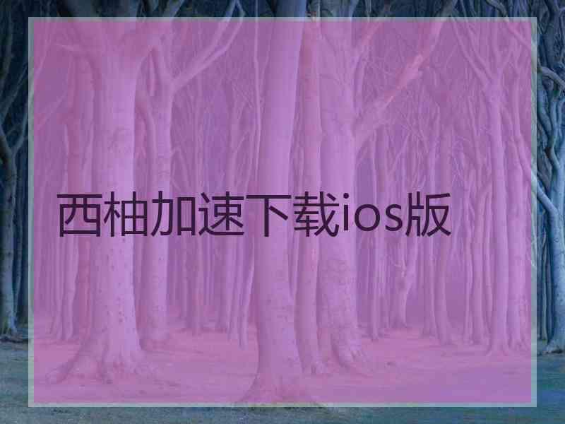 西柚加速下载ios版