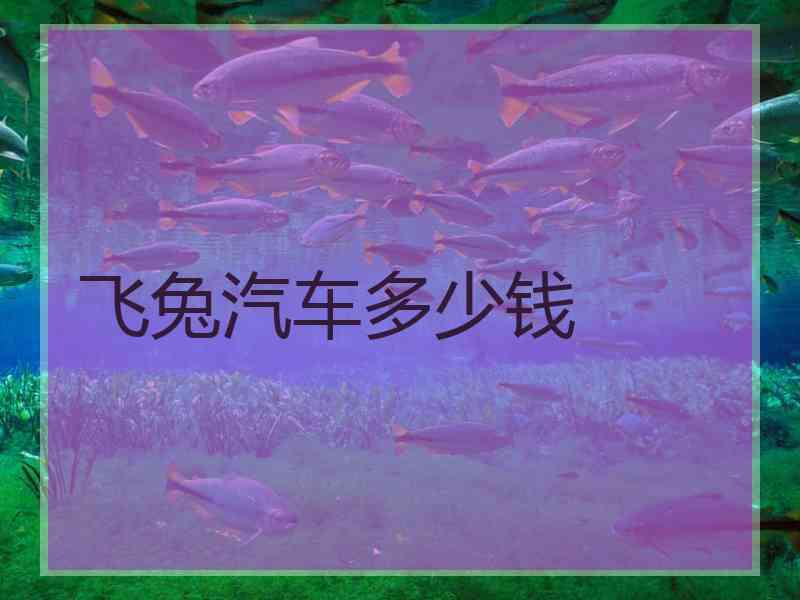 飞兔汽车多少钱