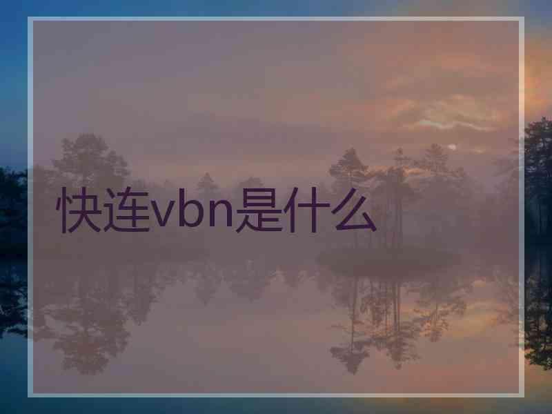 快连vbn是什么