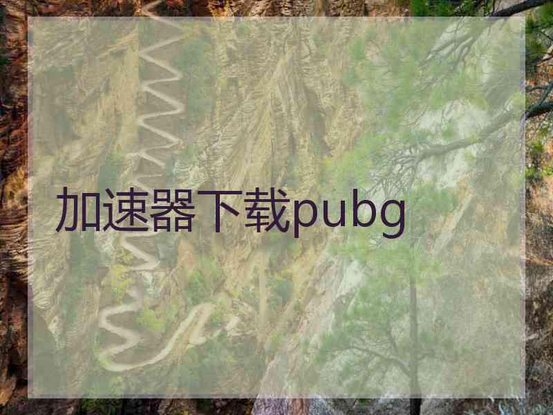 加速器下载pubg