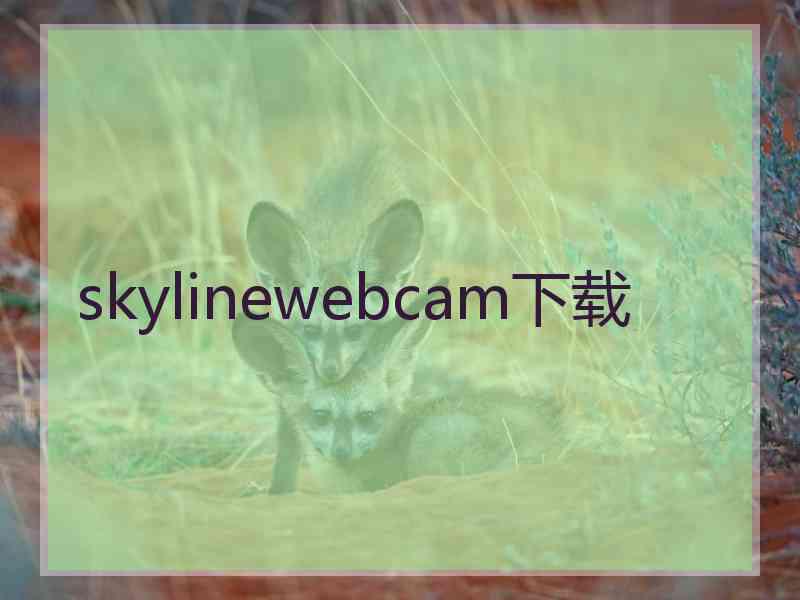 skylinewebcam下载