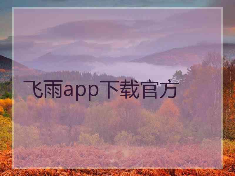 飞雨app下载官方