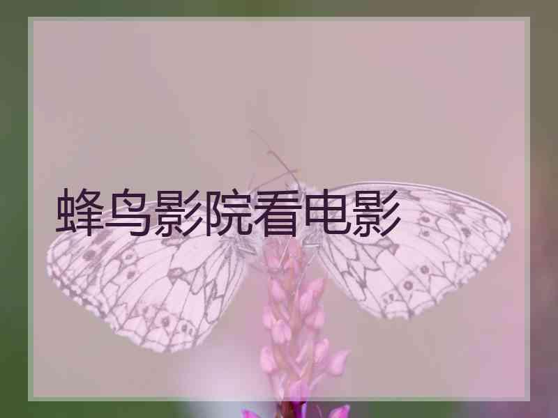 蜂鸟影院看电影