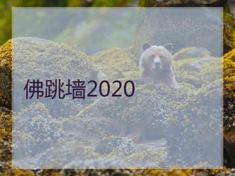 佛跳墙2020