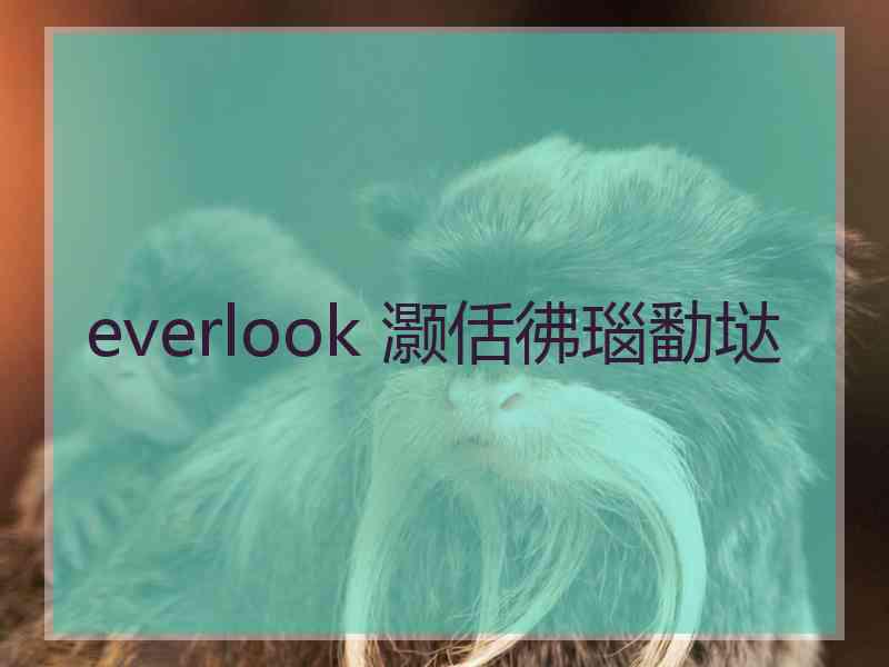 everlook 灏佸彿瑙勫垯