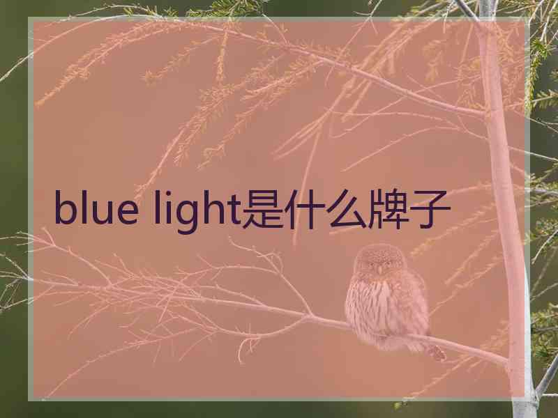 blue light是什么牌子