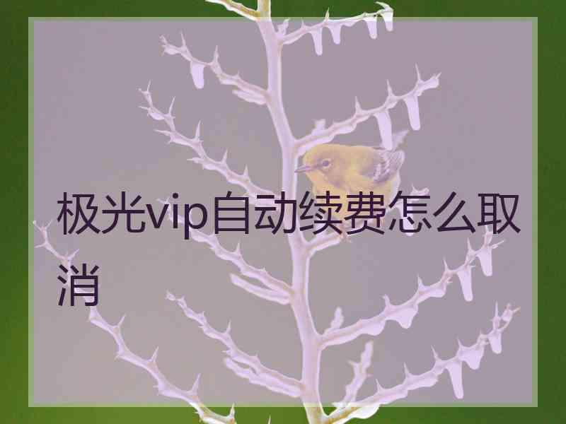 极光vip自动续费怎么取消