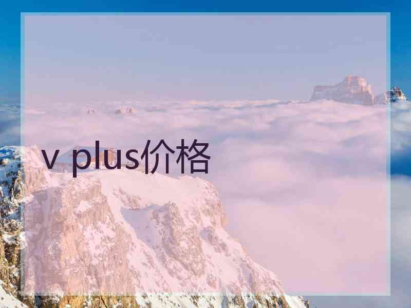 v plus价格