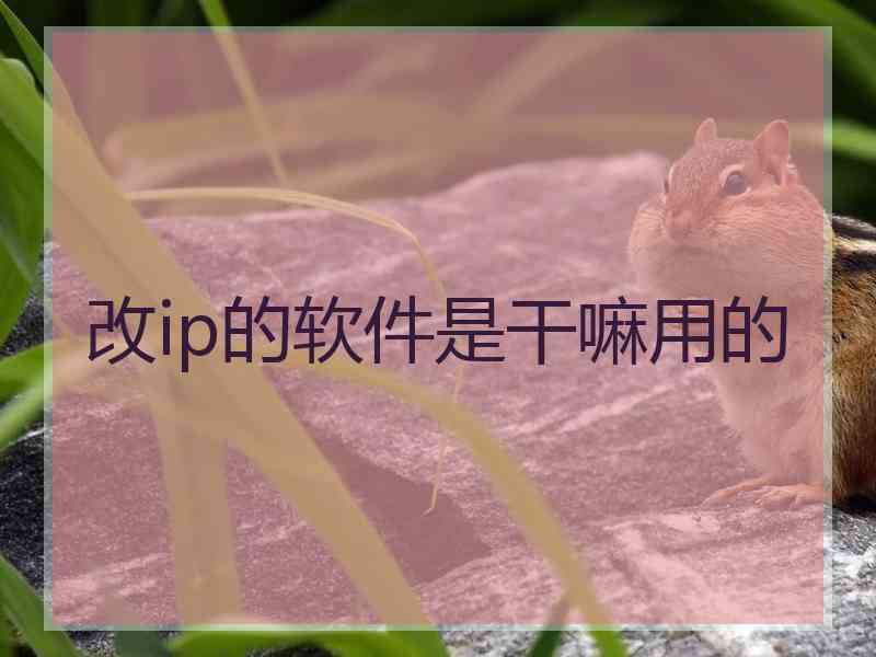 改ip的软件是干嘛用的