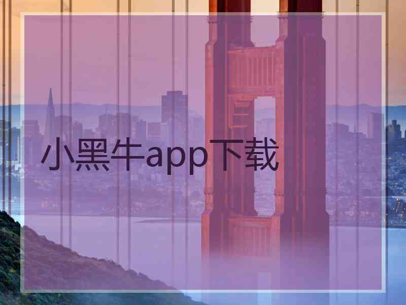 小黑牛app下载