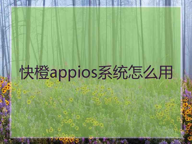 快橙appios系统怎么用